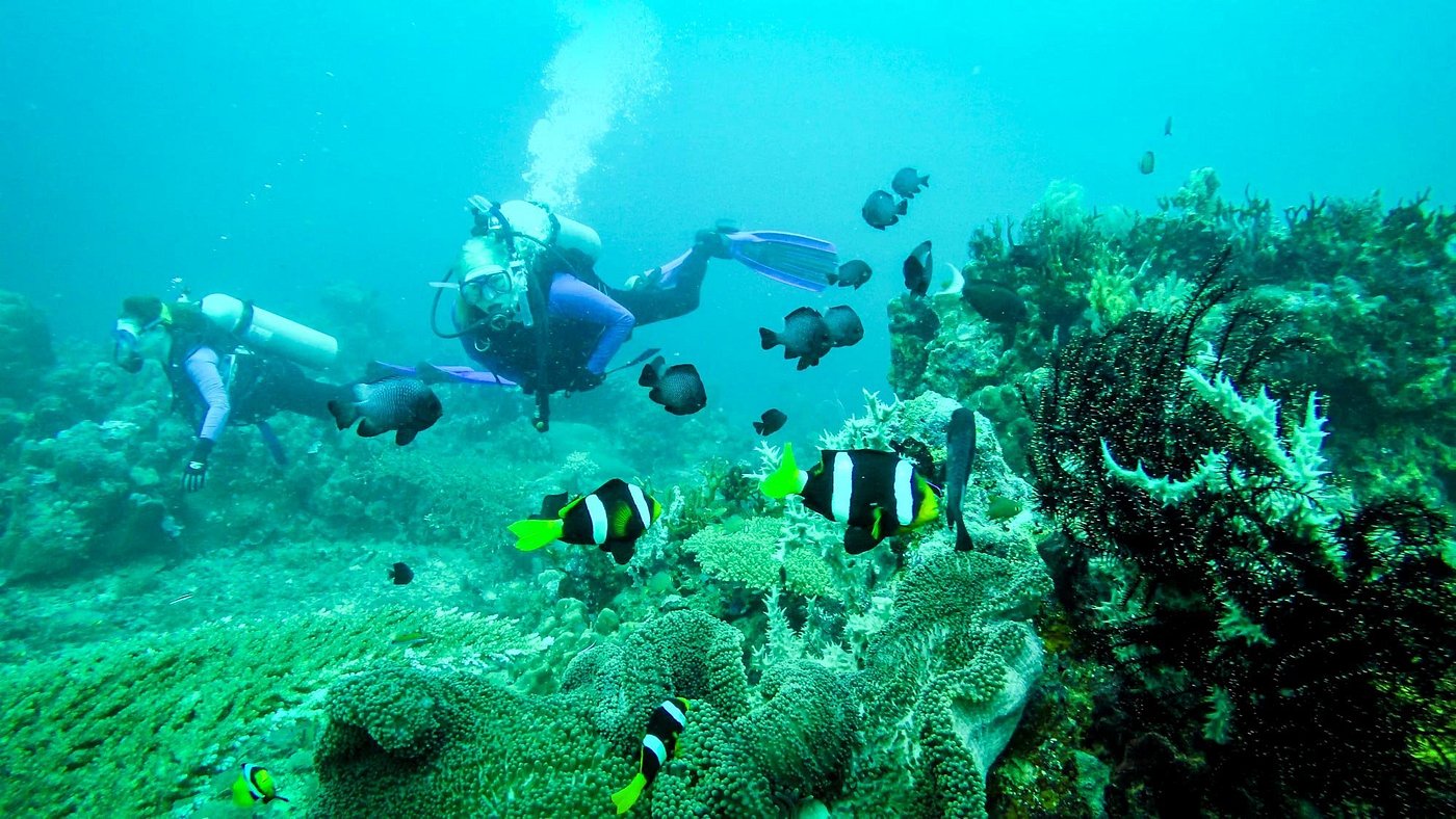 Diver exploring a colorful coral reef in Madang waters