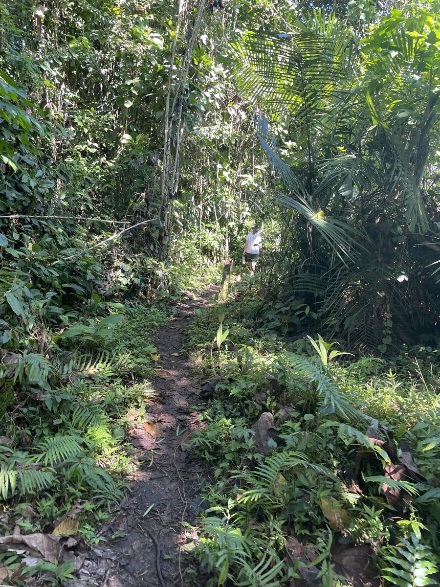 Lush rainforest and dramatic landscape in Madang Province